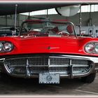 Ford Thunderbird - Square Birds