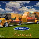 Ford Transit Pferdegespann