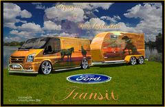 Ford Transit Pferdegespann