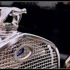 Fordfliegen                          (Oldtimertreffen Dresden3)