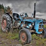 FORDSON DEXTA