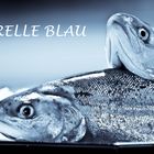 Forelle Blau