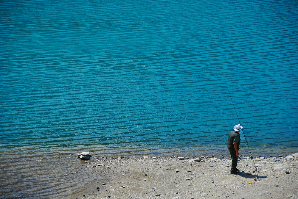 Forelle - Blau