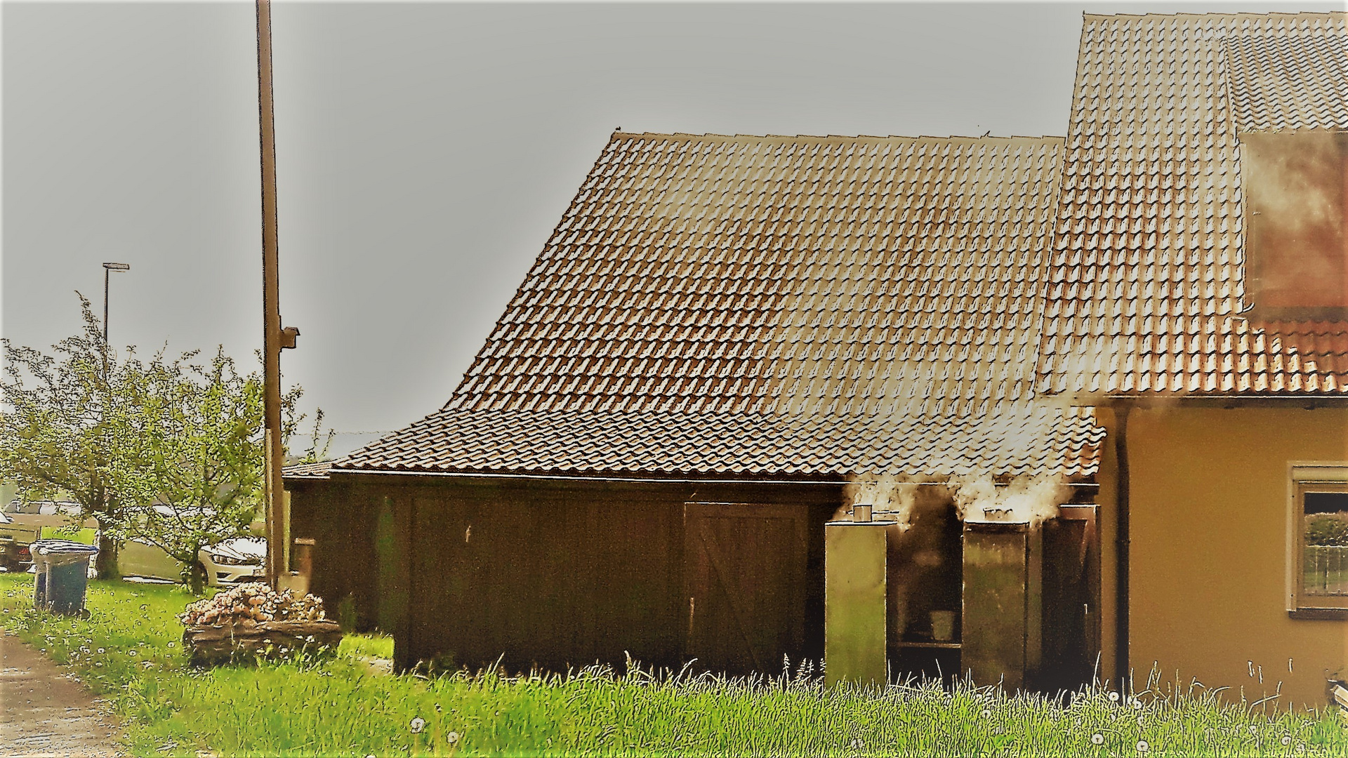 Forellen geräuchert 