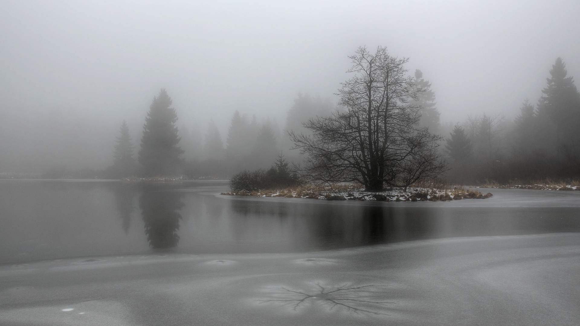 Forellenteich im Winter