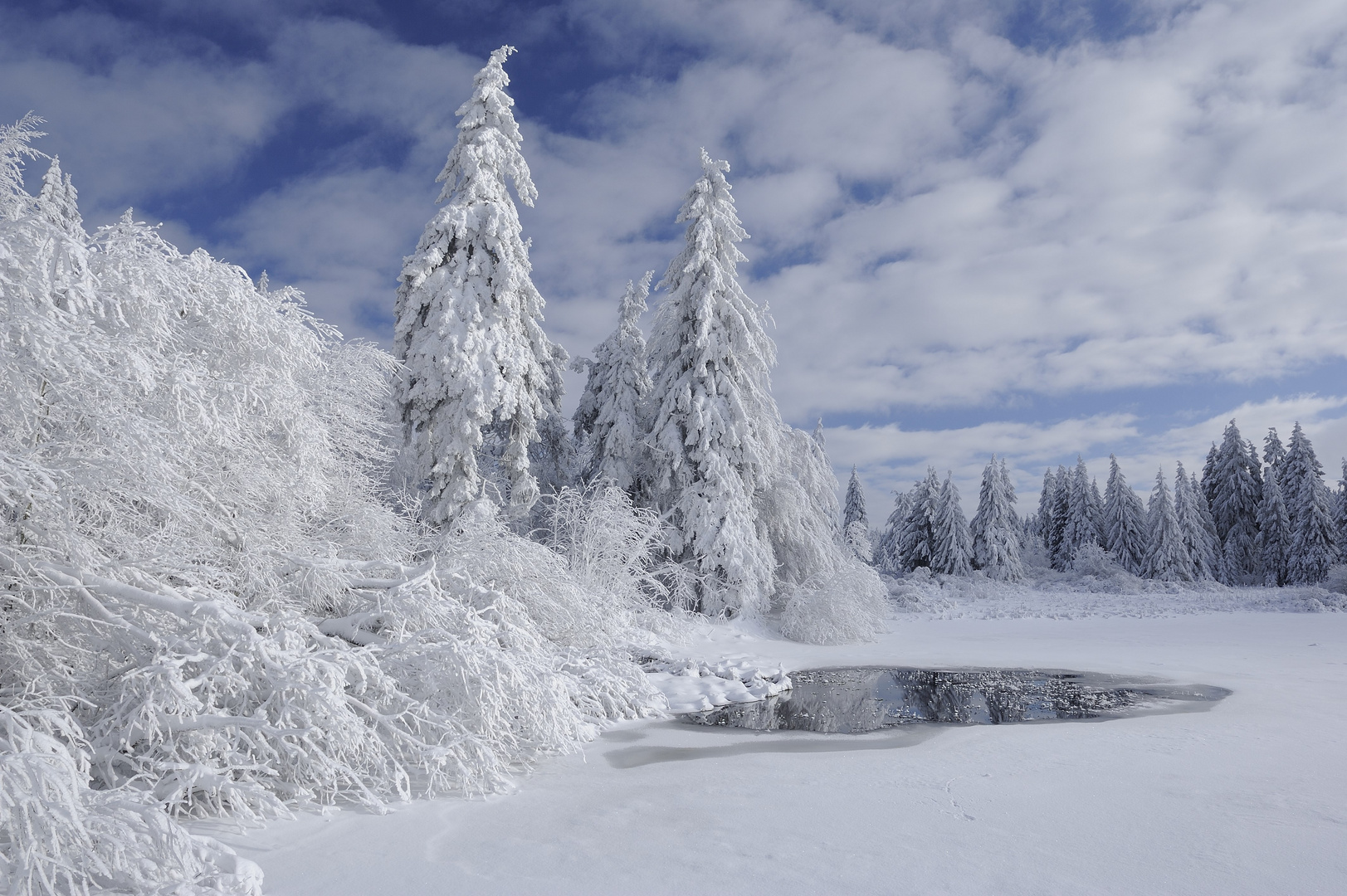 Forellenteiche im Winter am Hoherodskopf