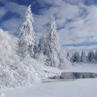 Forellenteiche im Winter am Hoherodskopf