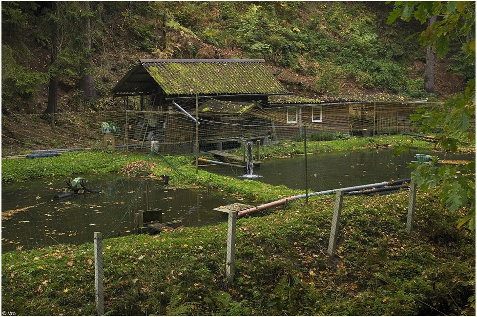 Forellenzucht Foto & Bild landschaft, bach, fluss & see, see, teich