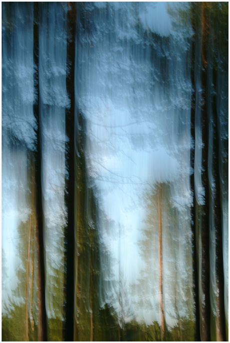 Forest Abstraction