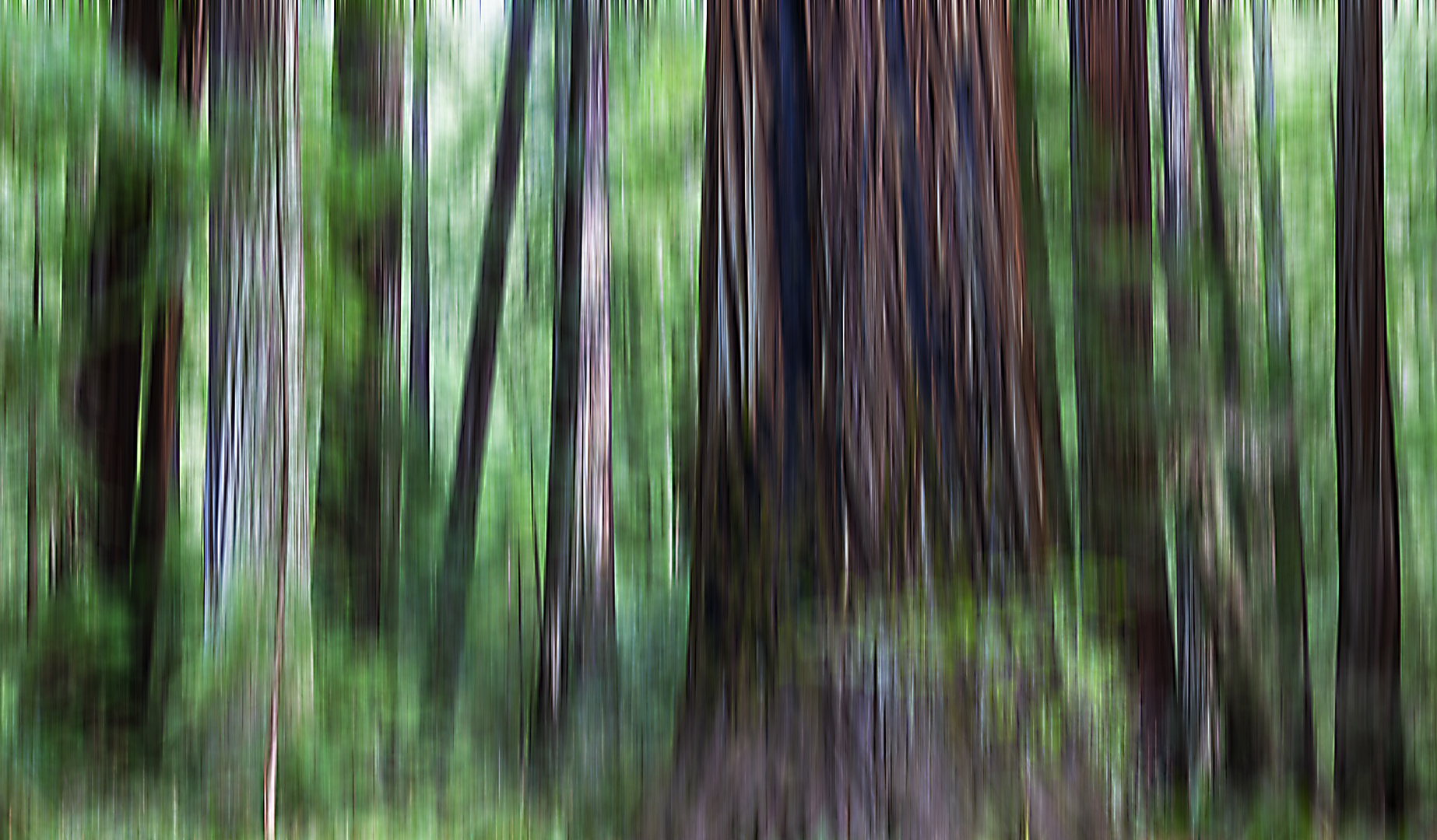 [forest art]