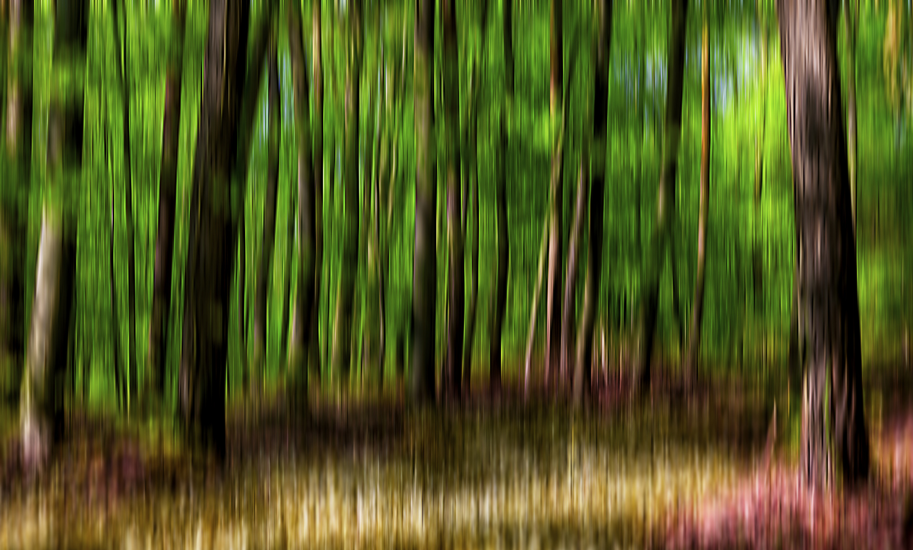 [forest art 4]