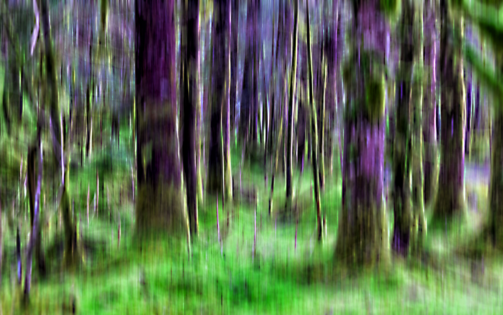 [forest art 5]
