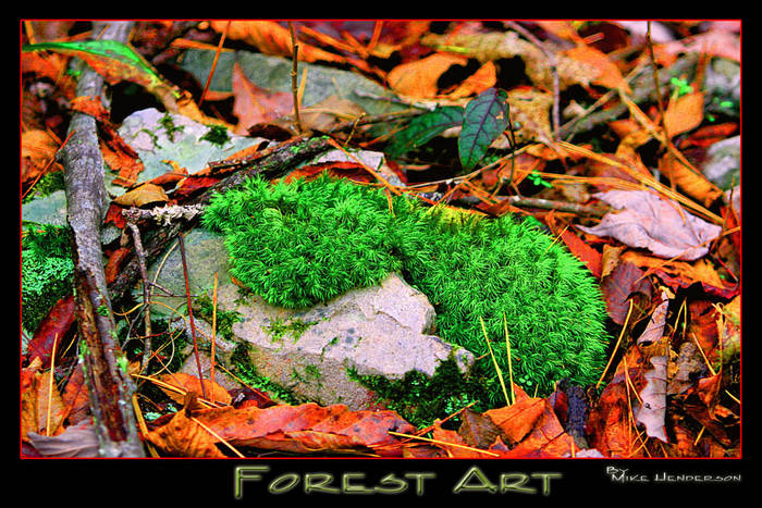 Forest Art