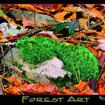 Forest Art