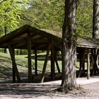 forest cabin