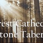 Forest Cathedral