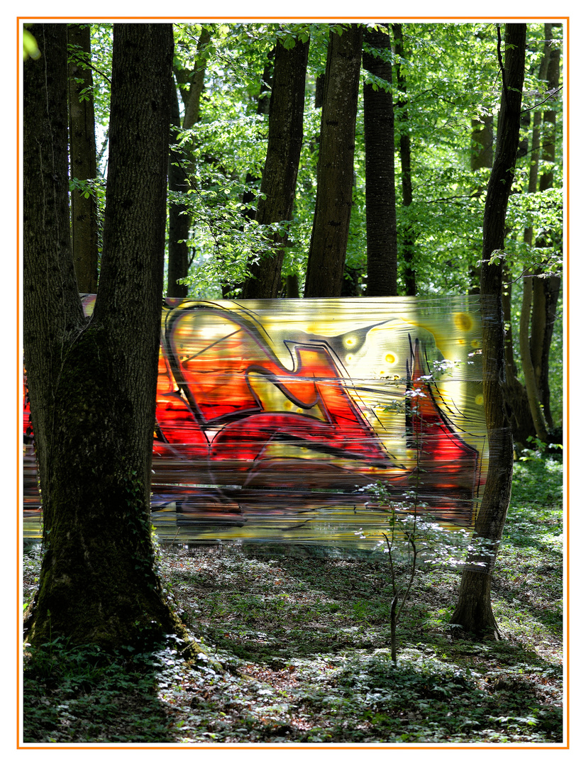 Forest Cellophane Graffiti