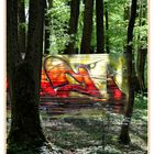 Forest Cellophane Graffiti