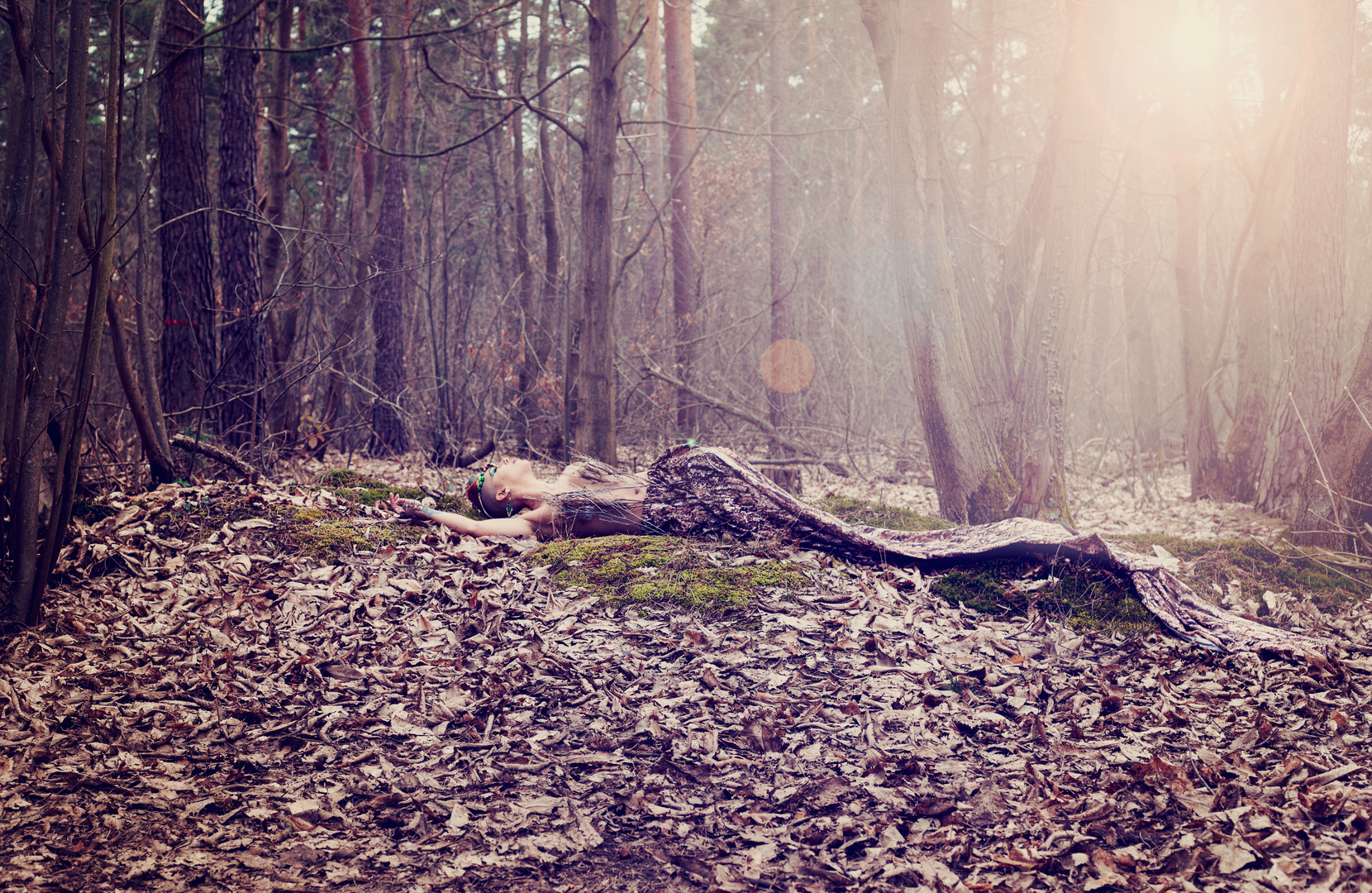 Forest Fairy