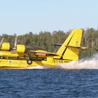 Forest Fire Fighting Plane 2