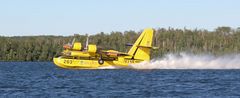 Forest Fire Fighting Plane 2