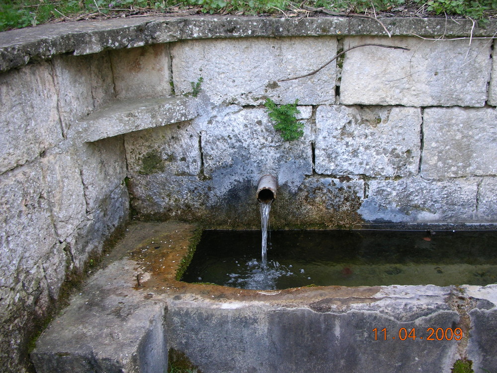 forest fountain