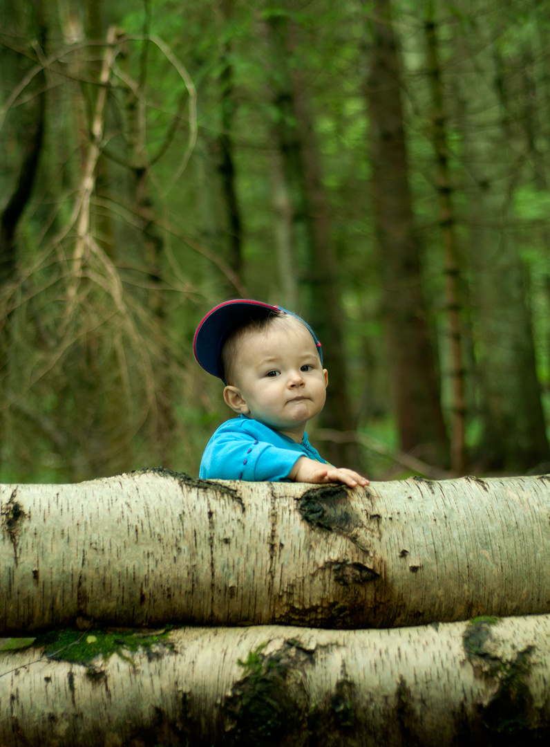 forest guard