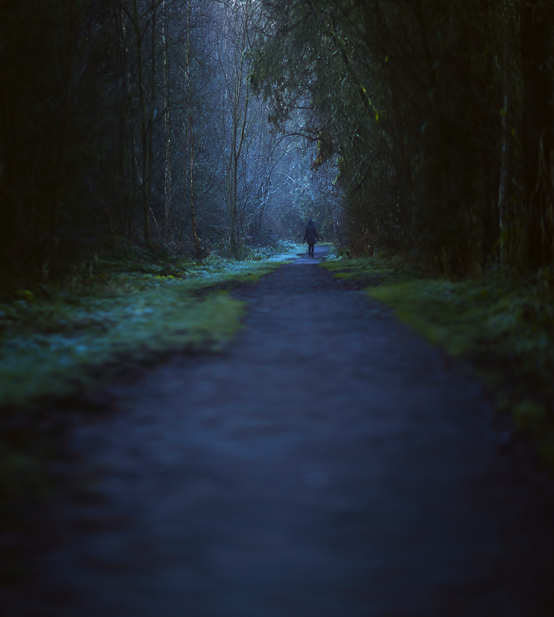 Forest (Ireland)