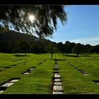 Forest Lawn Memorial Park