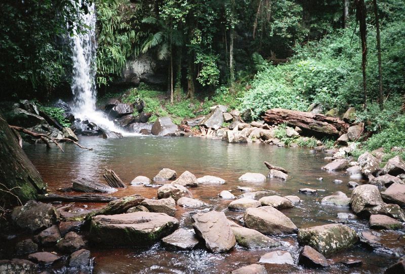 Forest Pool