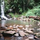 Forest Pool