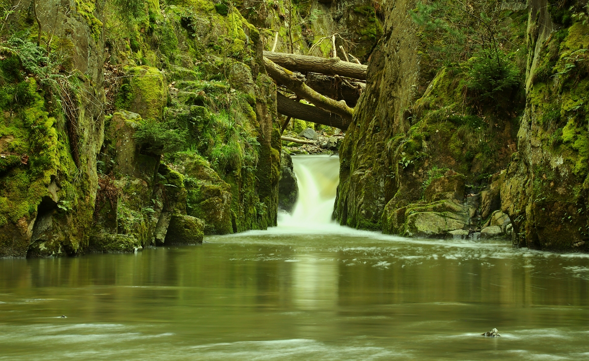 Forest small lake