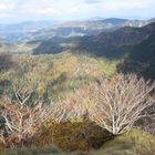  Foresta della Lama