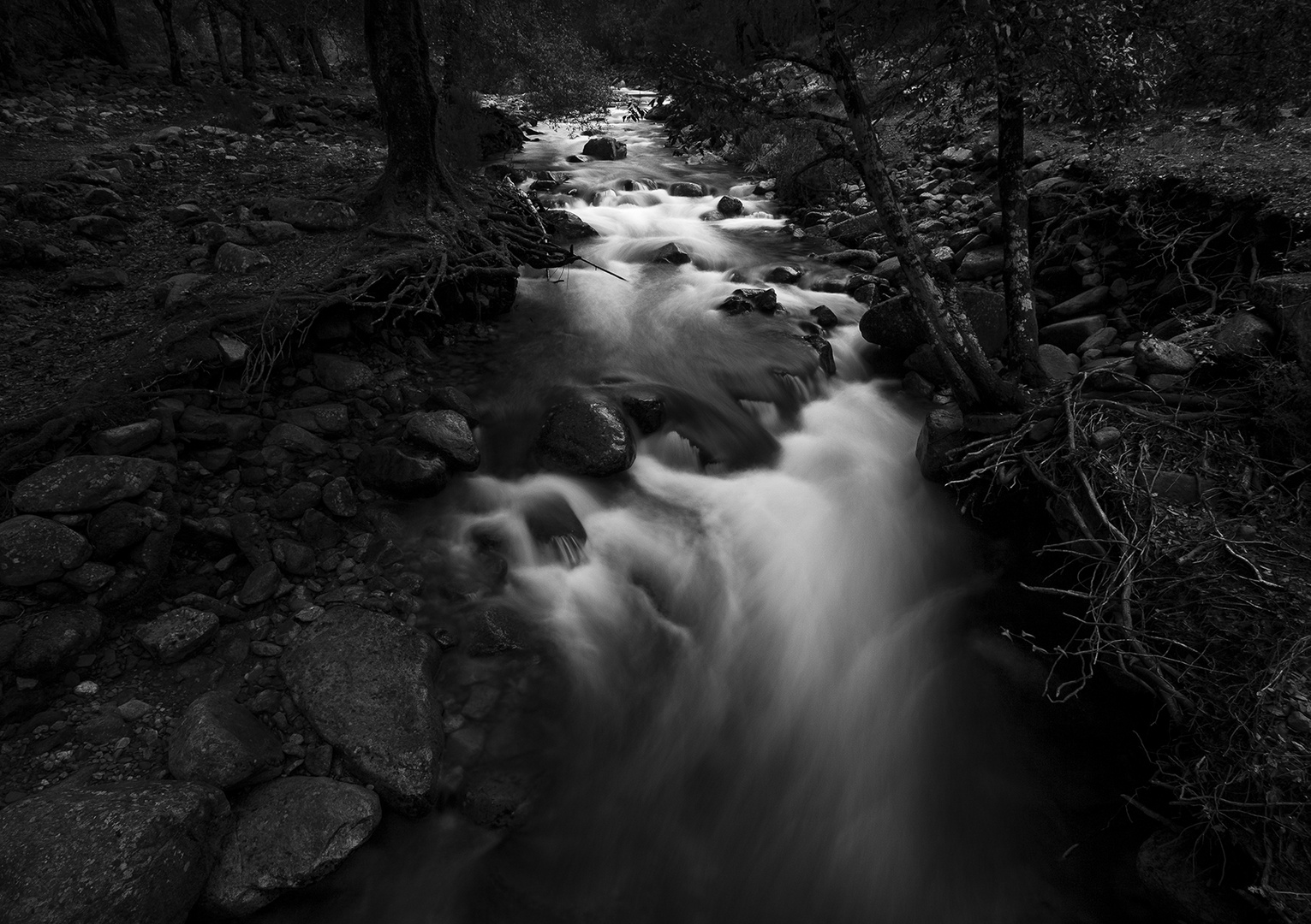 Foresta di Montimannu #2, febbraio 2013