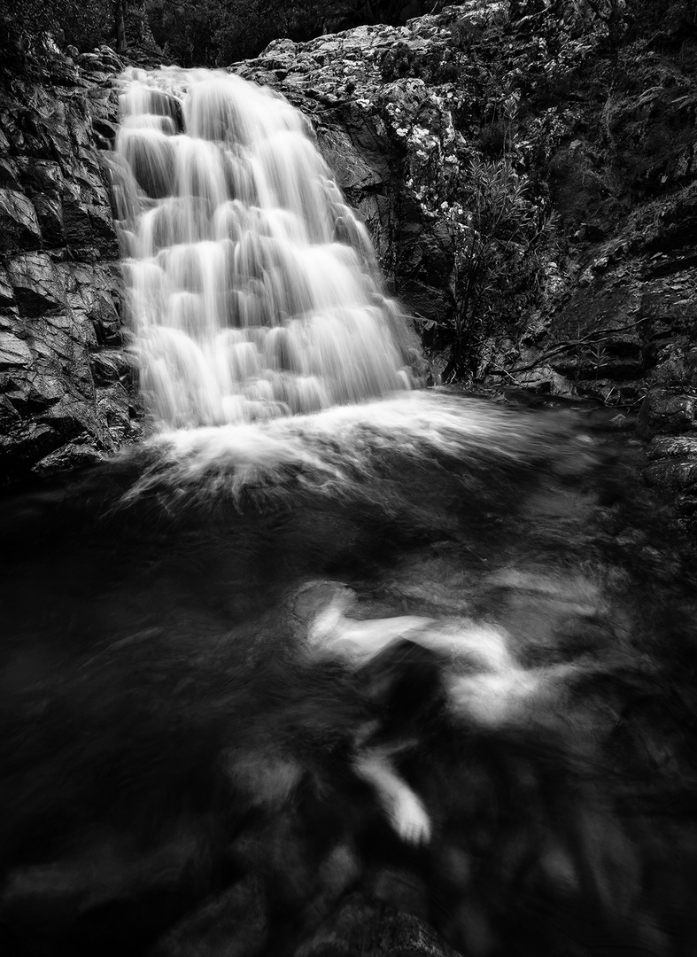 Foresta di Montimannu #4, marzo 2013