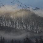 Foresta di Samedan