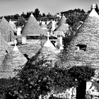 "Foresta" di trulli ad Alberobello