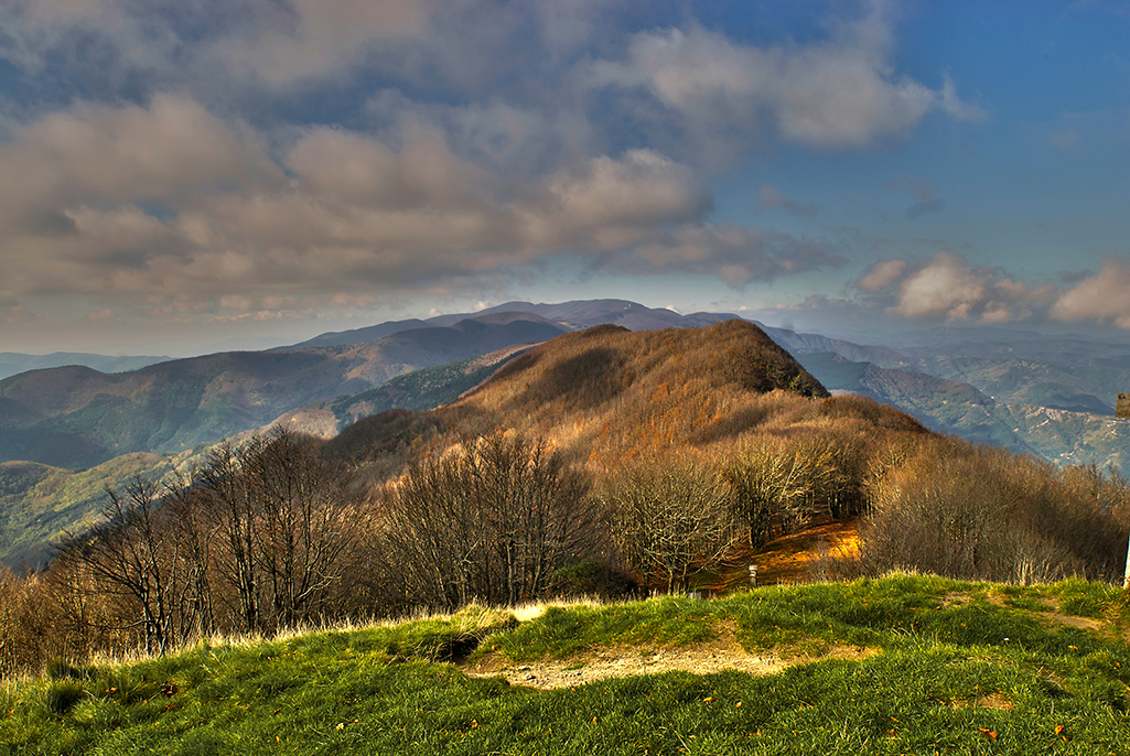 foreste casentinesi 4