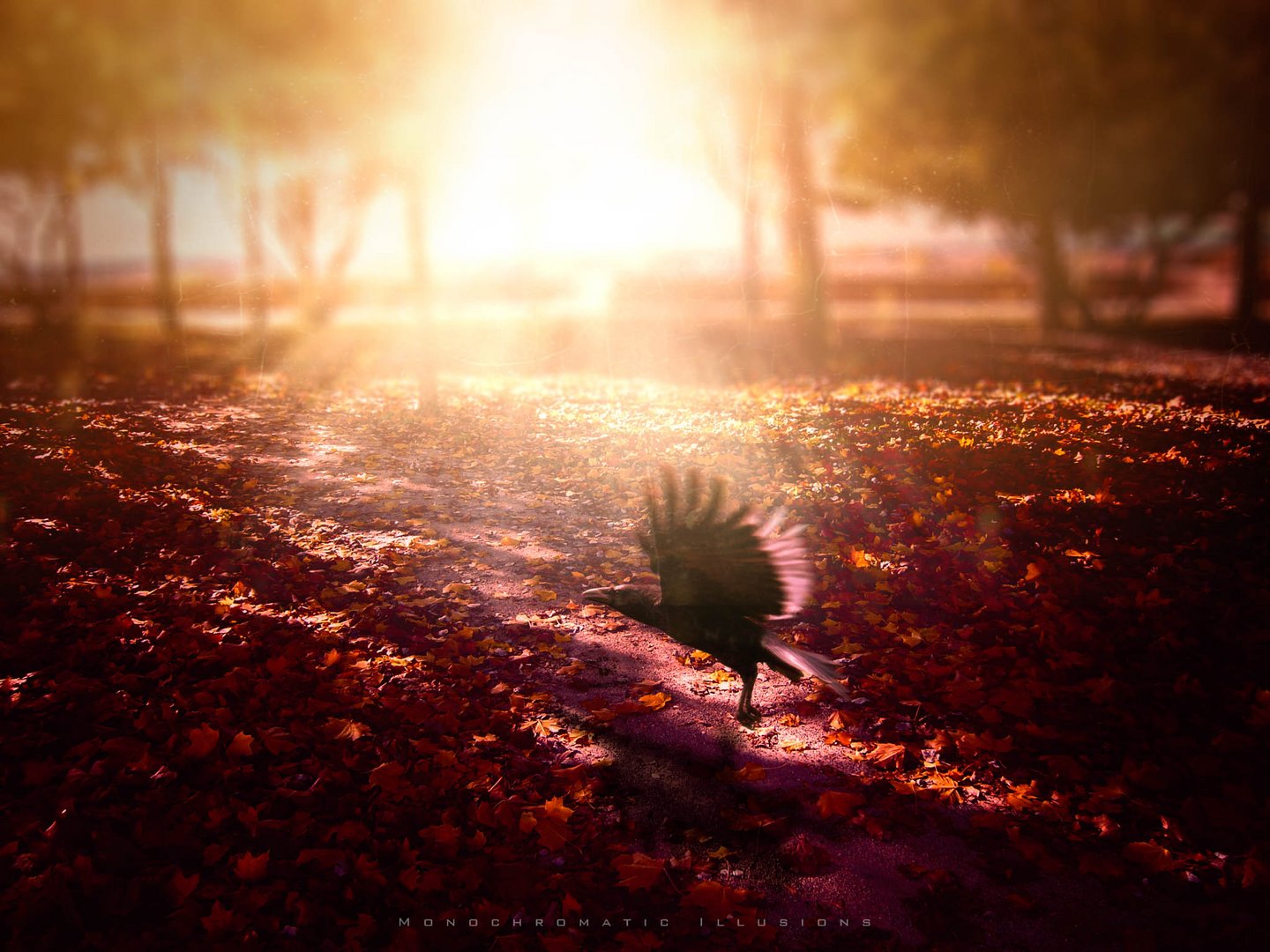 "Forever Autumn"