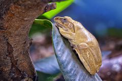 Forget About The Worries!