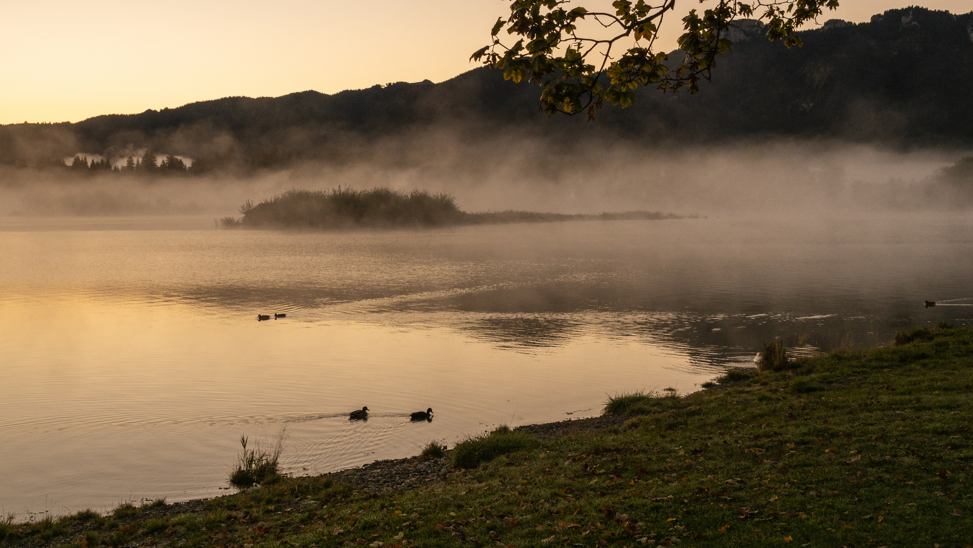 Forggensee