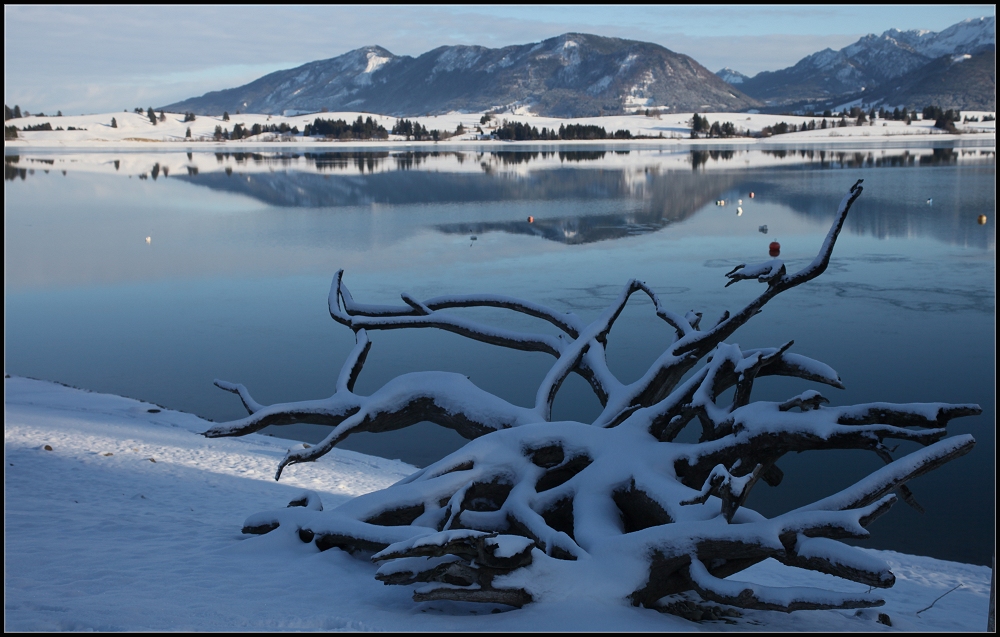 Forggensee