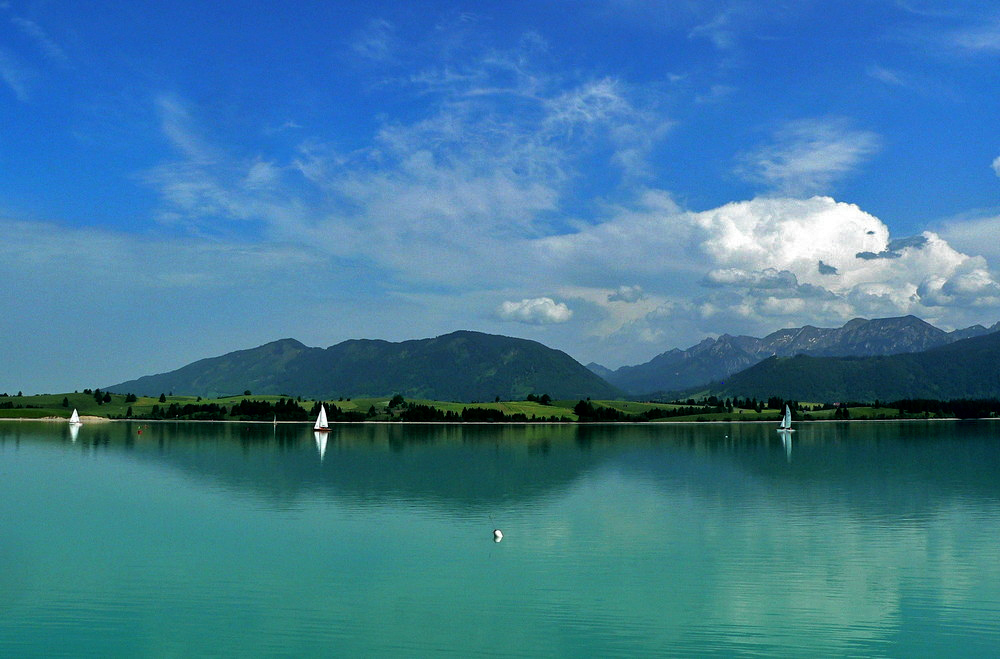 Forggensee