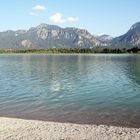 Forggensee