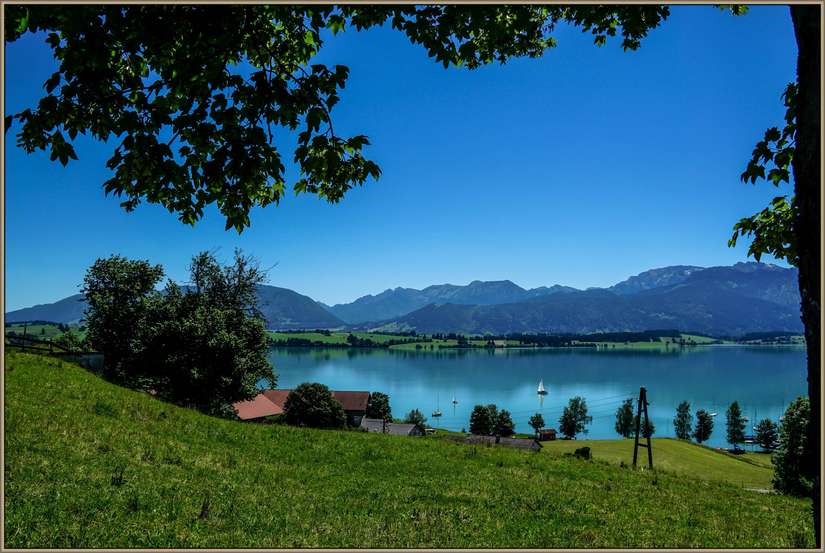 Forggensee