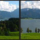 Forggensee