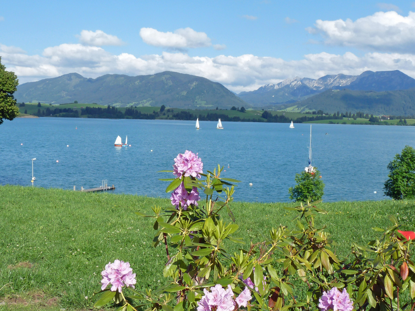 Foto & Bild landschaft, natur Bilder auf