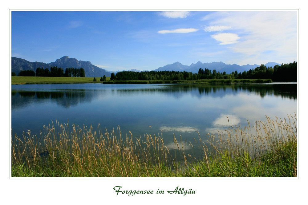 Forggensee