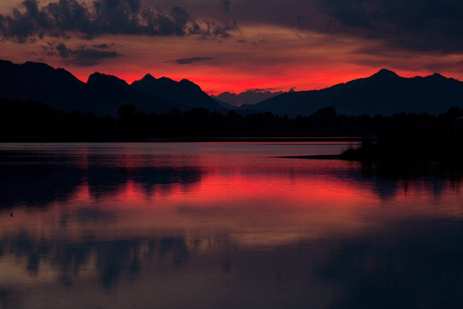 Forggensee Abendglühen