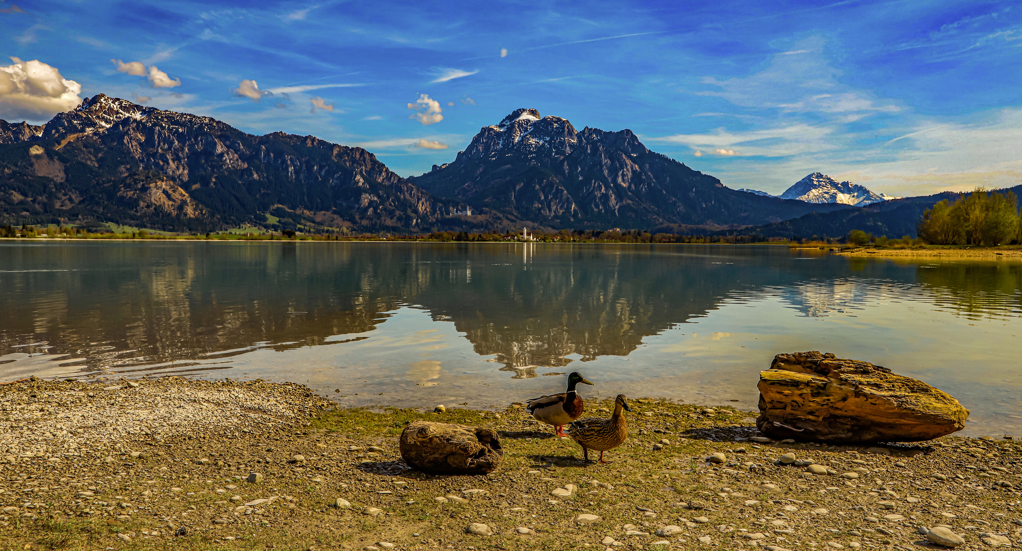 Forggensee bei Füssen (Allgäu)